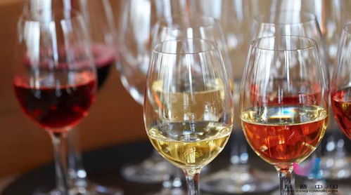 酒混著喝真的更容易醉嗎？——揭開酒精與酒類混合的真相