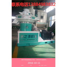 濟(jì)南與泰安生物質(zhì)顆粒機(jī)價(jià)格及設(shè)備選購(gòu)指南 玉米秸稈顆粒機(jī)、生產(chǎn)線與色選機(jī)全解析