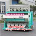 解鎖糧食加工新高度 河北榮祥雜糧色選機(jī)開啟智能升級(jí)之路